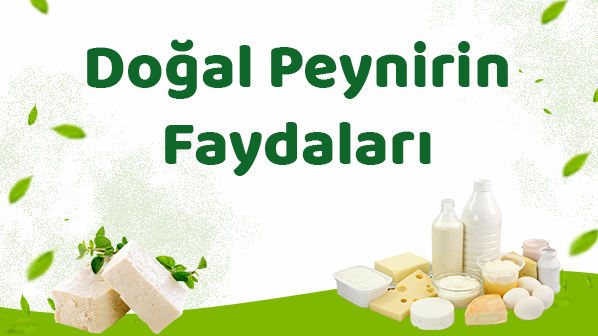 Doğal Peynirin Faydaları
